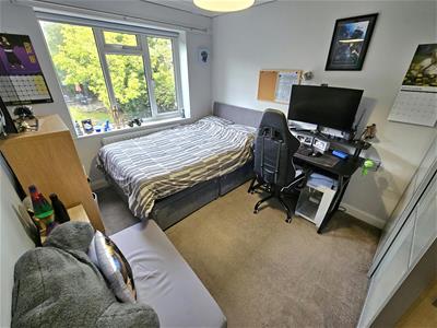 Picture 24